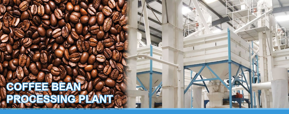 Coffee Bean Processing Plant