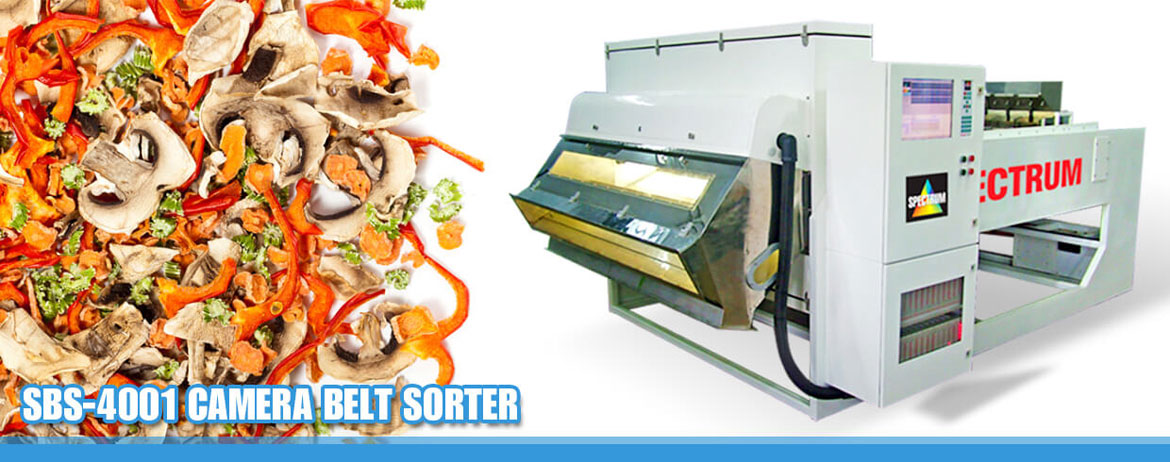 Belt Sorter