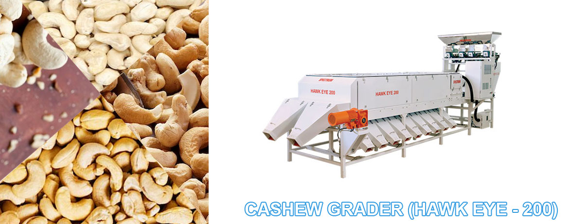 Cashew Grader (Hawk Eye - 200)