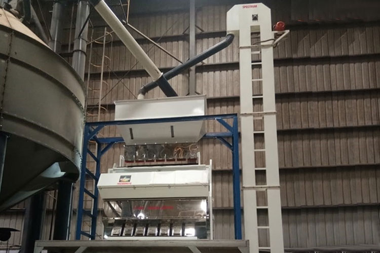 Coffee Bean Sorting Machine