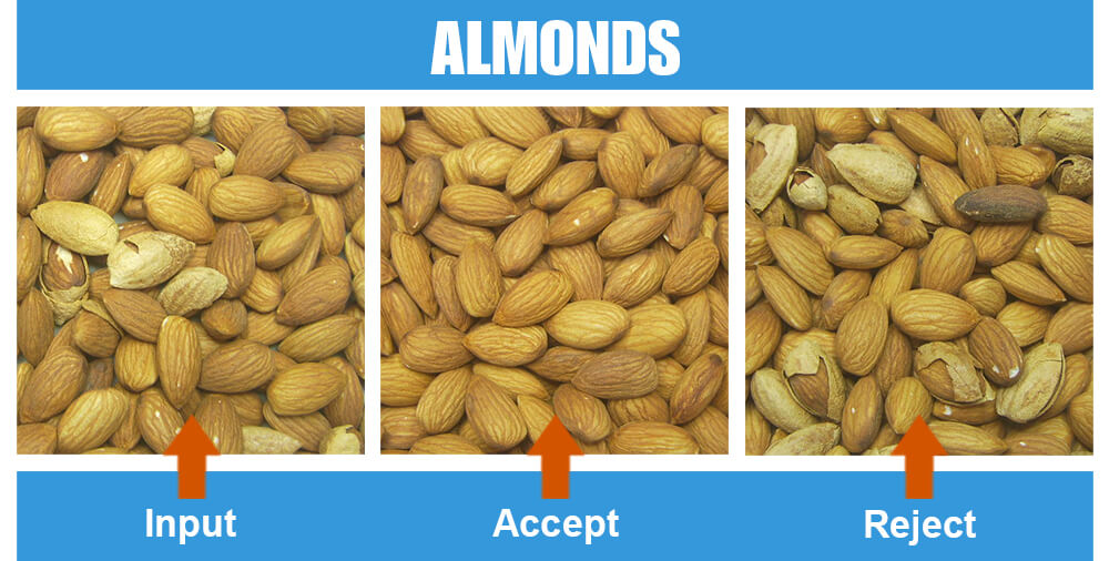 Sorted Sample Almonds