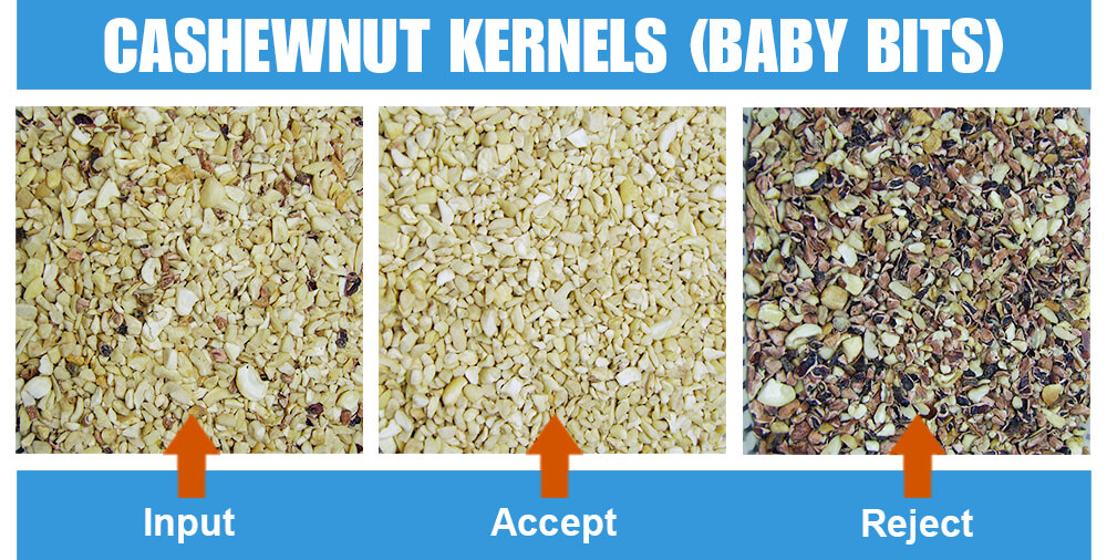 Sorted Sample Cashewnut Kernels Baby Bits