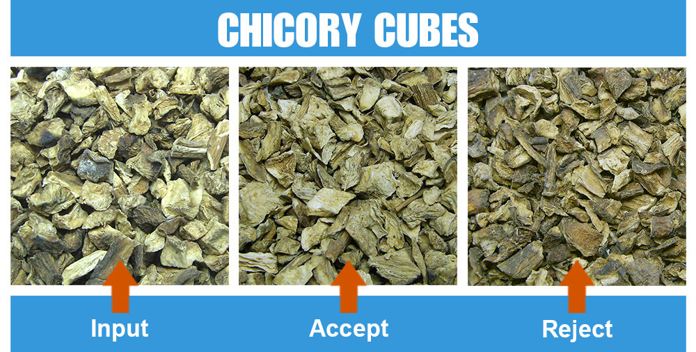 Sorted Sample Chicory Cubes