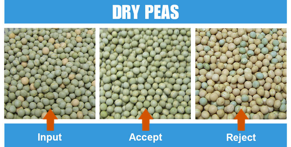 Sorted Sample Dry Peas