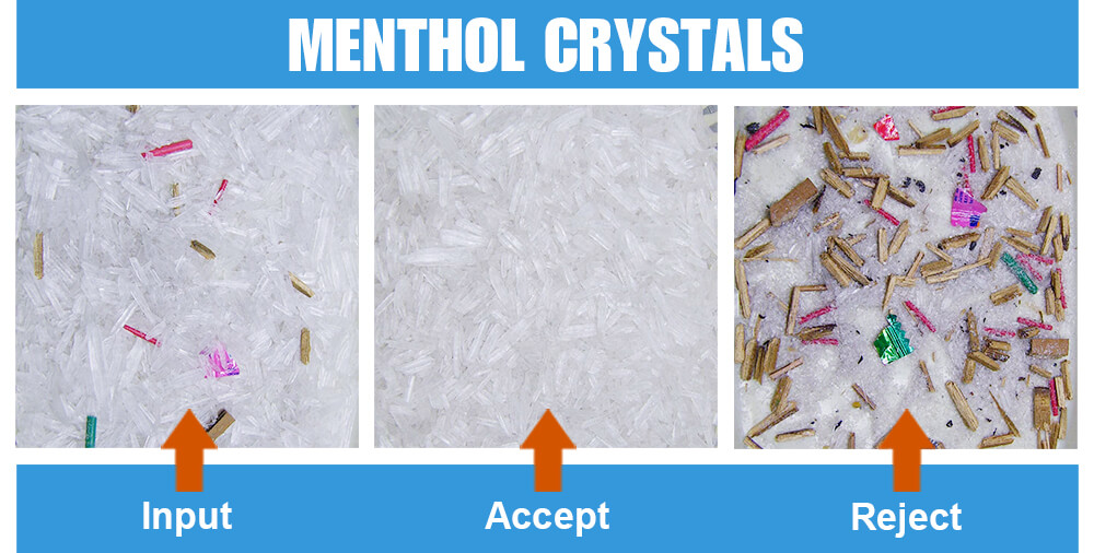 Sorted Sample Menthol Crystals