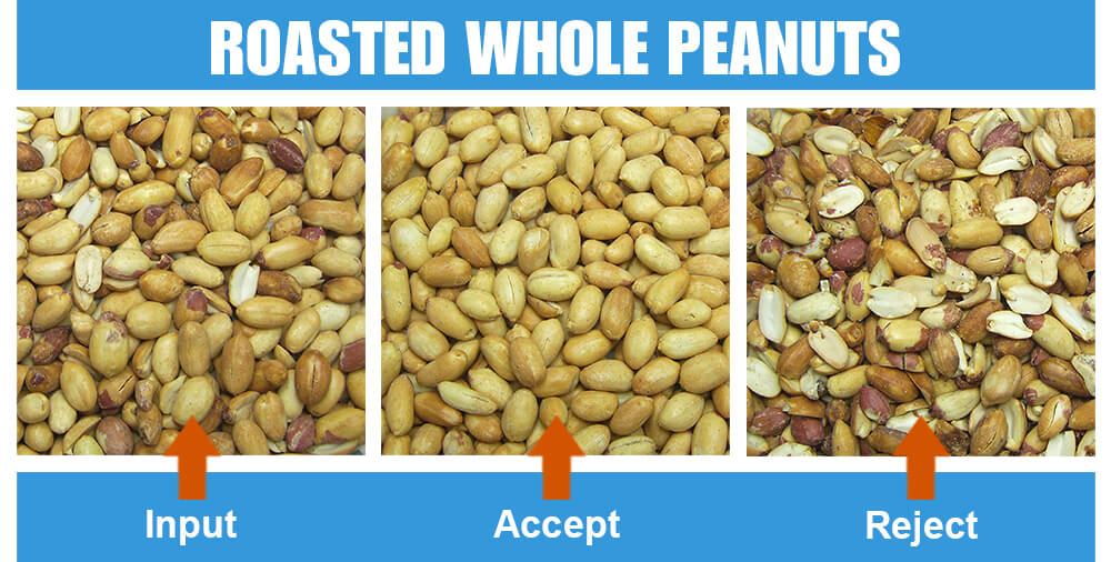 Sorted Sample Roasted Whole Peanuts