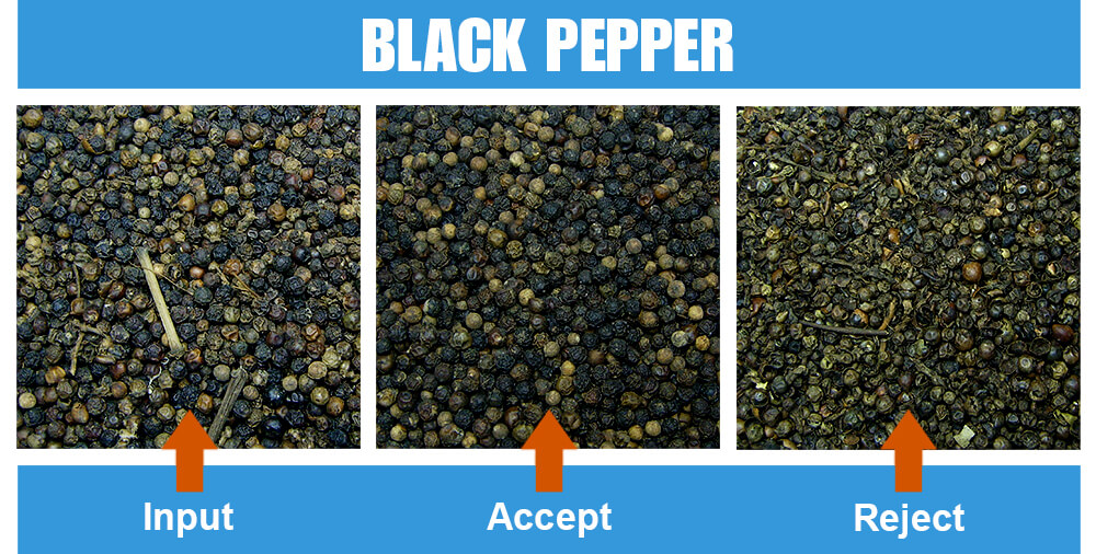 Sorted Sample Black Pepper