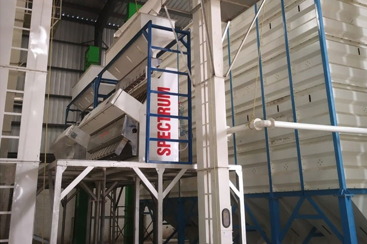 Seed Processing Plant